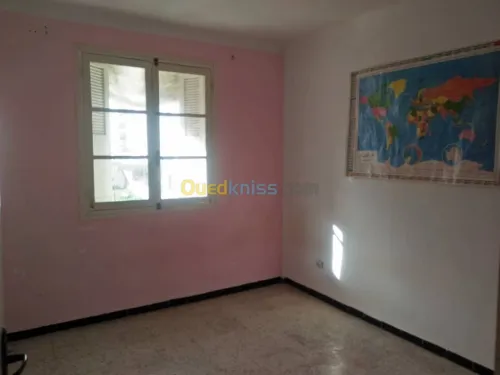 Location Appartement F3 Alger Bouzareah