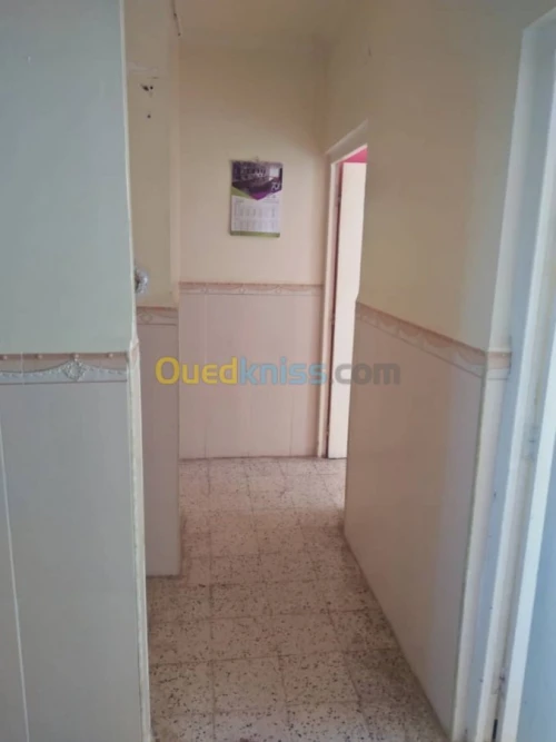 Location Appartement F3 Alger Bouzareah