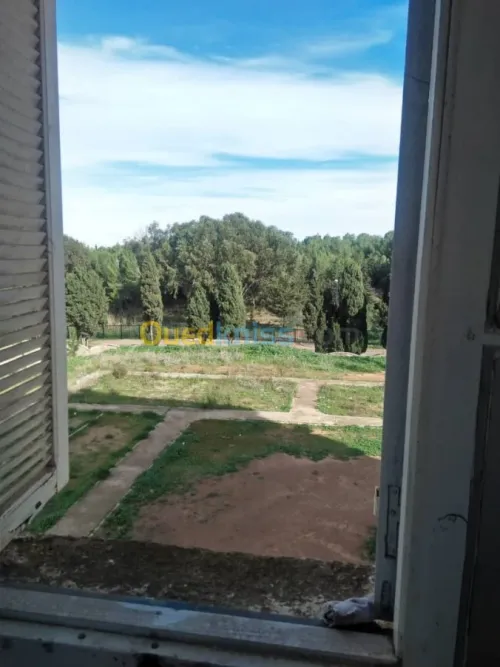 Location Appartement F3 Alger Bouzareah