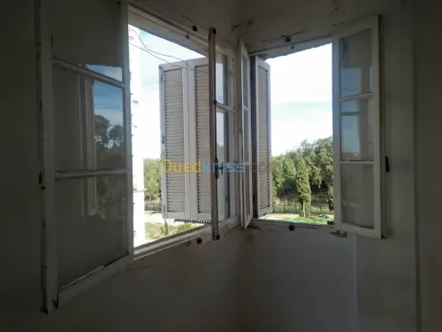 Location Appartement F3 Alger Bouzareah