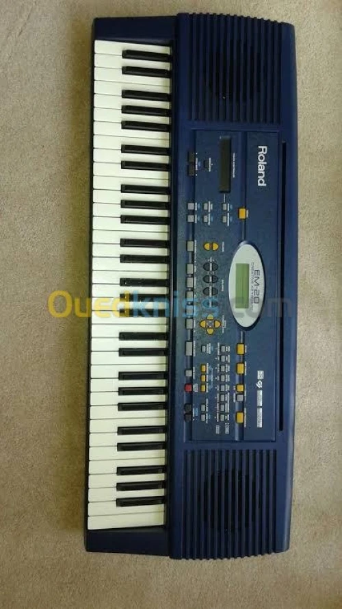 Roland em 20