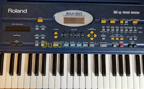 Roland em 20