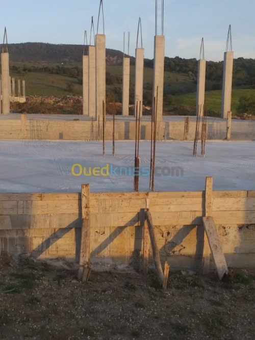 Vente Carcasse El taref El aioun