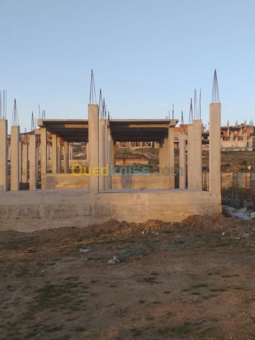 Vente Carcasse El taref El aioun