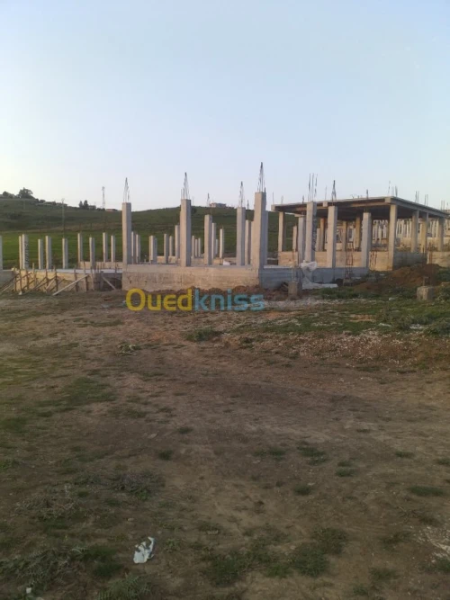 Vente Carcasse El taref El aioun