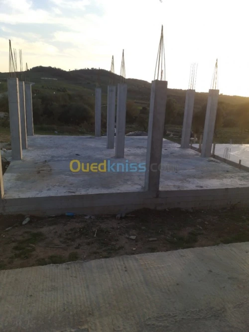 Vente Carcasse El taref El aioun