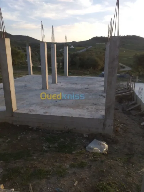 Vente Carcasse El taref El aioun