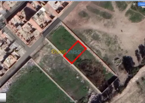 Vente Terrain Mostaganem Mostaganem