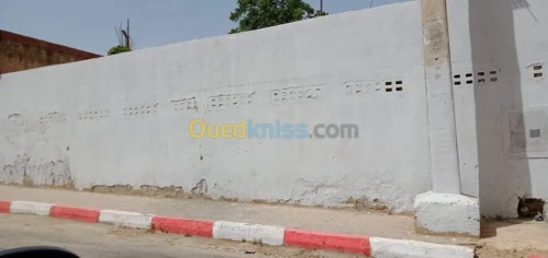 Vente Villa Ain defla Ain defla