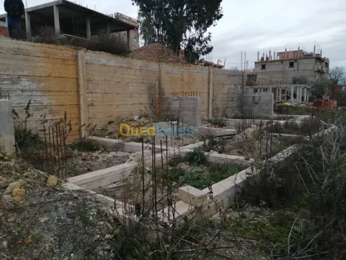 Vente Carcasse Jijel Settara