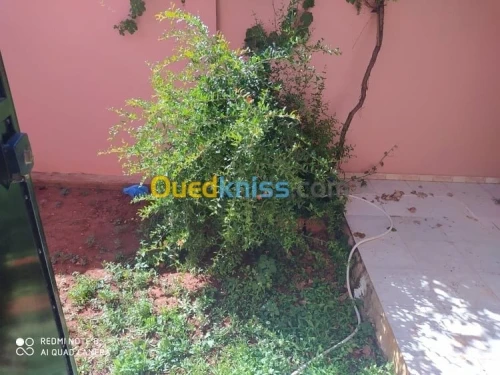 Vente Niveau De Villa Tlemcen Maghnia