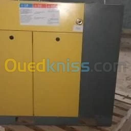 Compresseur à vis 10 cheveux