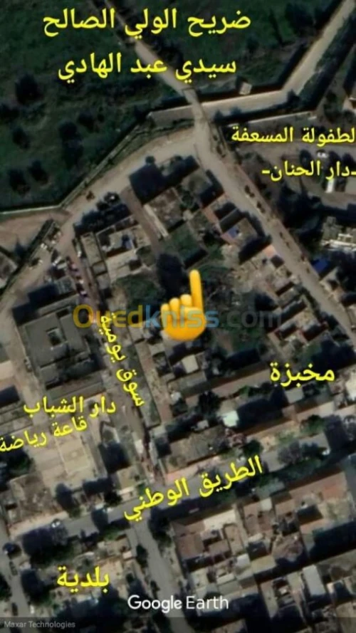 Vente Terrain Relizane El matmar
