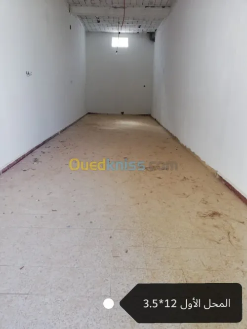 Vente Villa Ain defla Arib