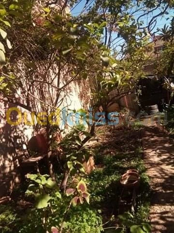 Vente Villa Chlef Boukadir