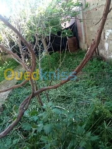 Vente Villa Chlef Boukadir