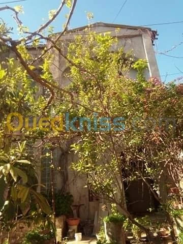 Vente Villa Chlef Boukadir
