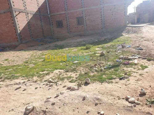 Vente Terrain Djelfa Djelfa