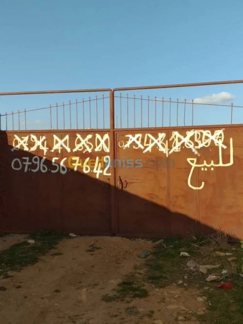 Location Terrain Agricole Tiaret Sougueur