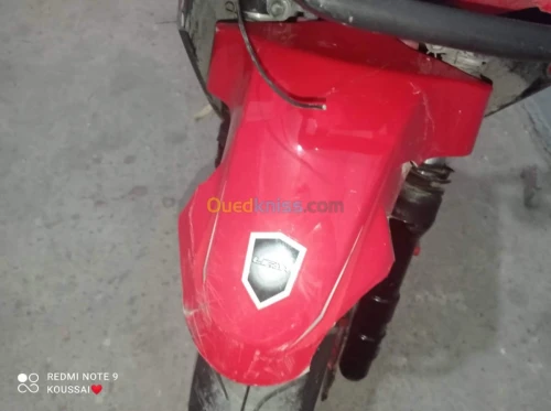 Lifan LIFAN PISTA