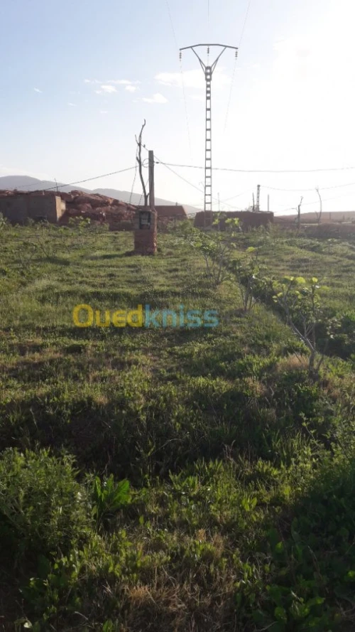 Vente Terrain Naama Tiout