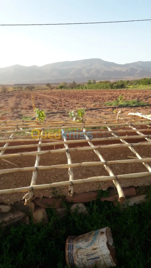 Vente Terrain Naama Tiout