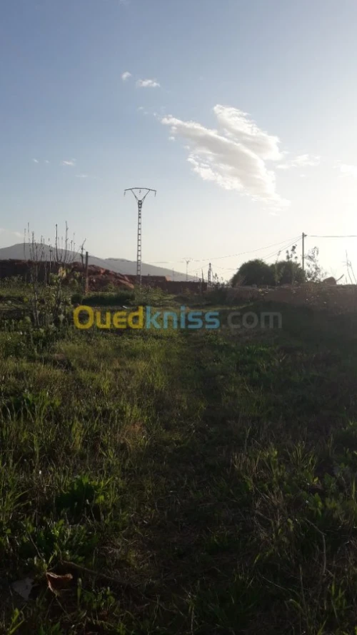 Vente Terrain Naama Tiout