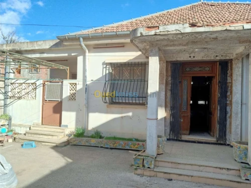 Vente Villa Medea Medea