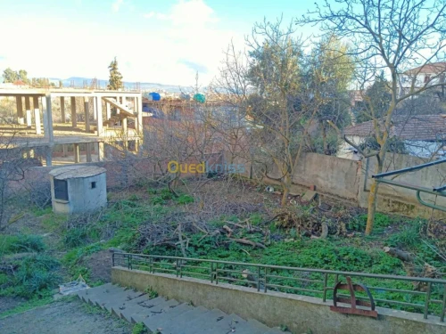 Vente Villa Medea Medea