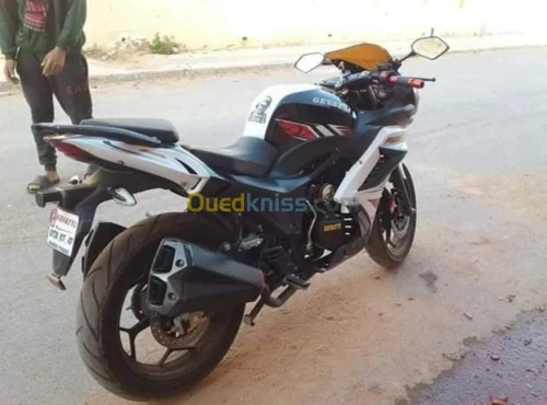 GEVATTI  RTM 250cc
