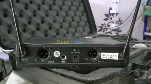 Microphone