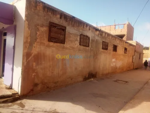 Vente bien immobilier Tiaret Medrissa