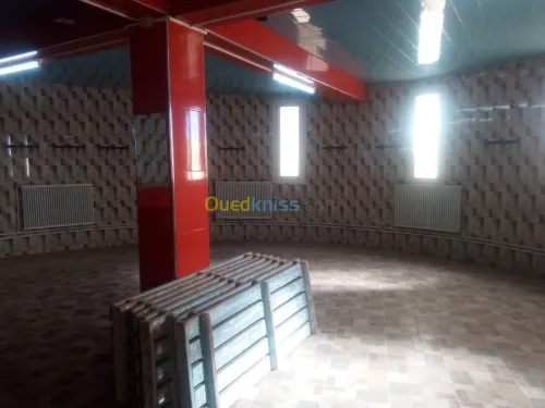 Vente bien immobilier Tiaret Medrissa