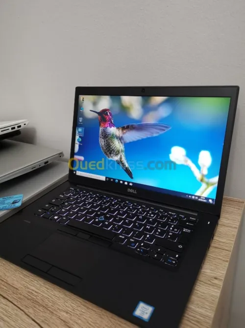 Hp spctre Asus msi acer dell latitud 
