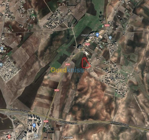 Vente Terrain Setif El eulma