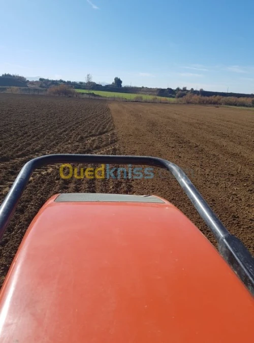 Production Fourniture et pose gazon 