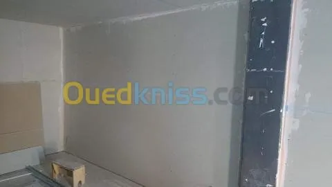 faux plafond PVC et BA13 simple 