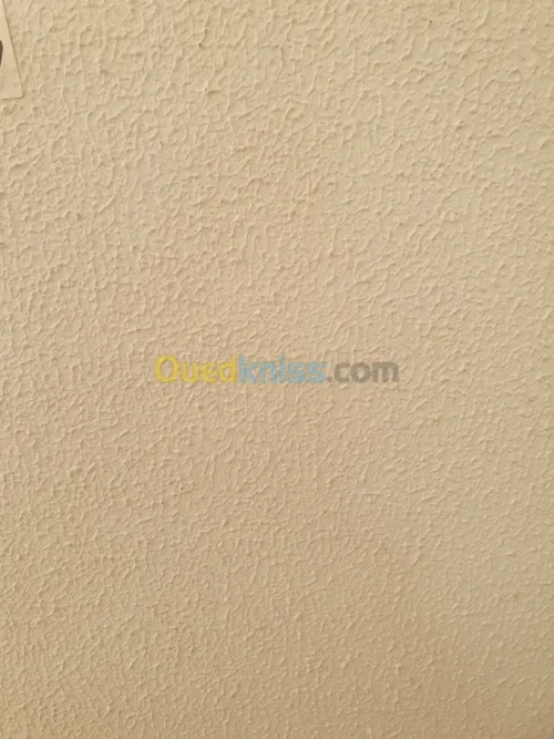 Production de Peinture