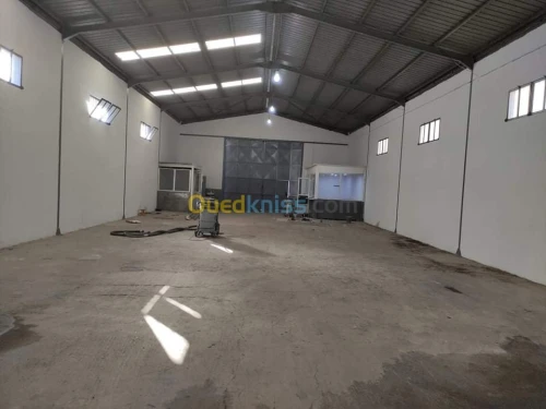 Location Hangar Alger Rouiba