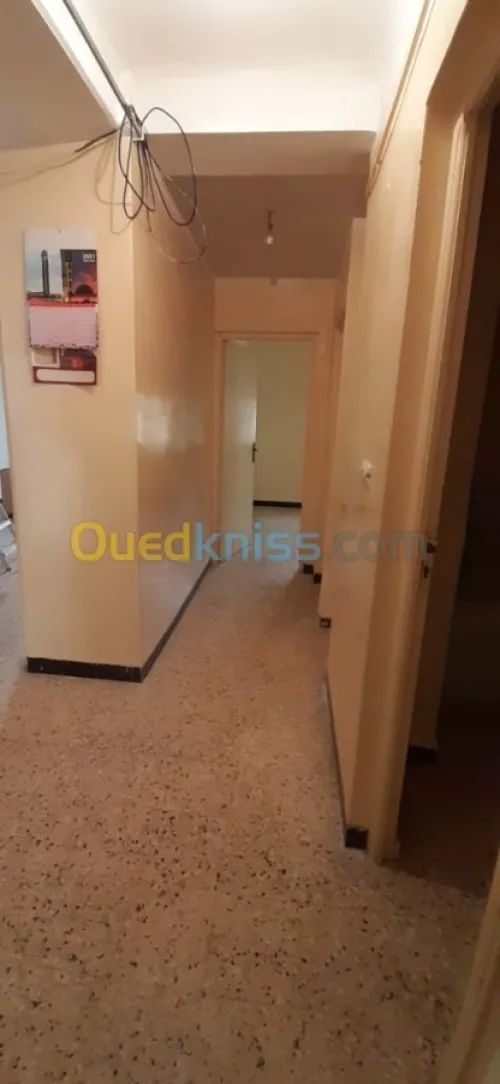 Location Appartement F551724652 Alger Cheraga