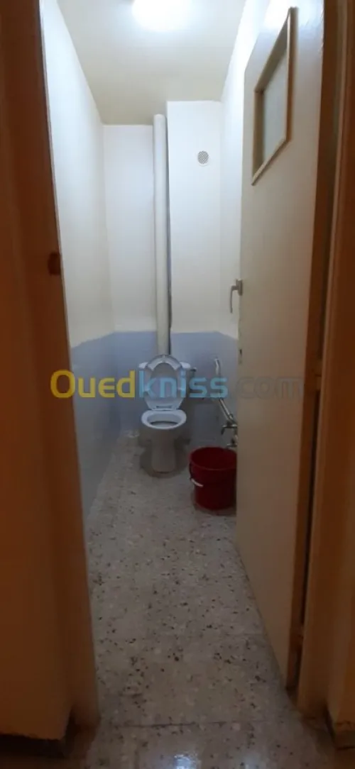 Location Appartement F551724652 Alger Cheraga