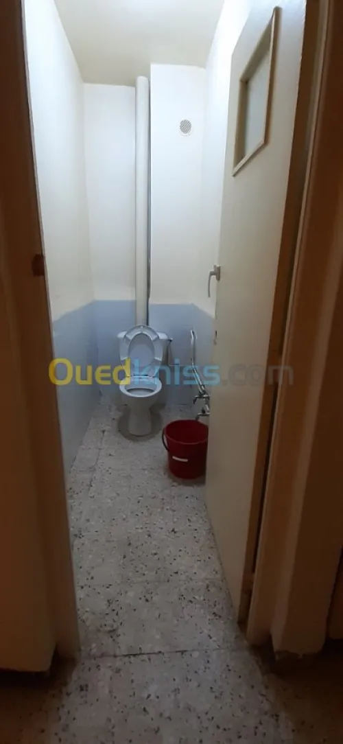 Location Appartement F551724652 Alger Cheraga