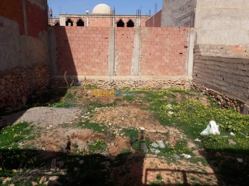 Vente Terrain Mostaganem Hassi maameche