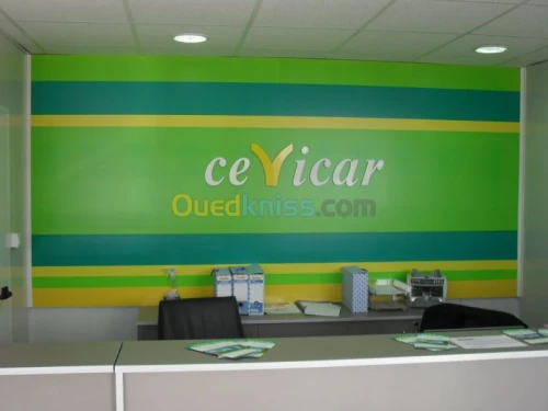 location de véhicule 