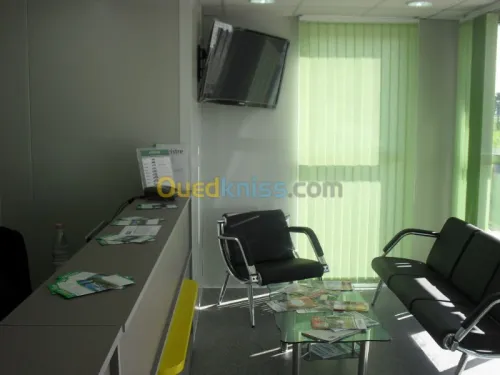 location de véhicule 