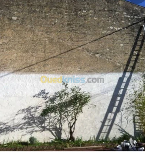 Peinture generale façade ,cloture, ter