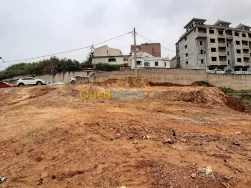 Vente Terrain Alger Said hamdine