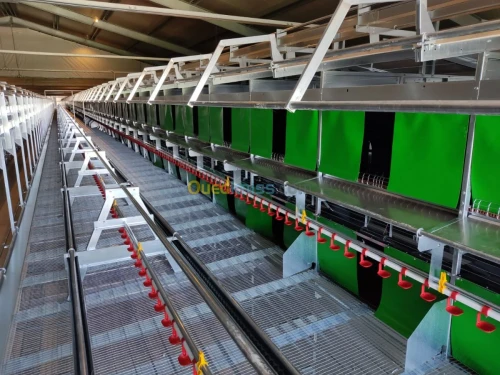 BATTERIE PONDEUSE AVITECH