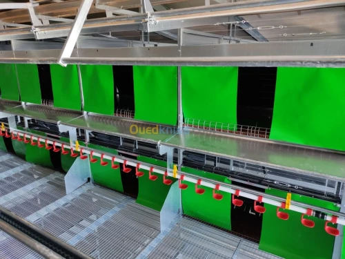 BATTERIE PONDEUSE AVITECH