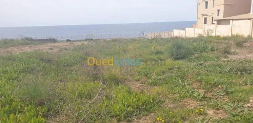 Vente Terrain Bejaia Beni ksila